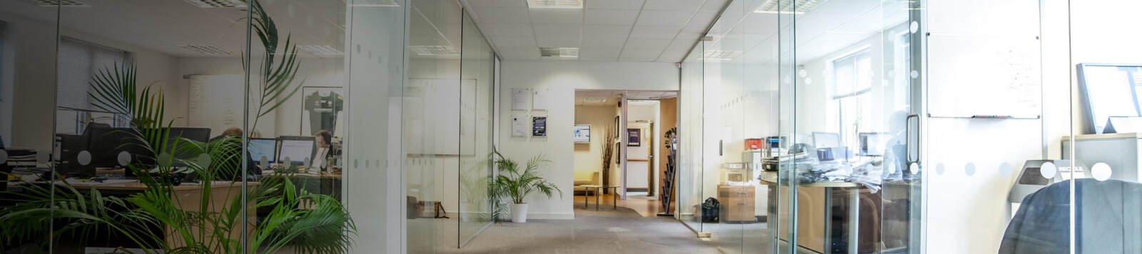Office Dilapidation