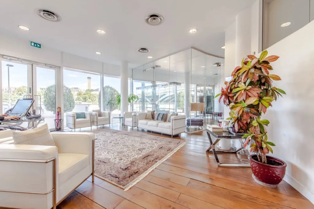Healthcare environment with biophilic elements – Tre’s Health Group #25
