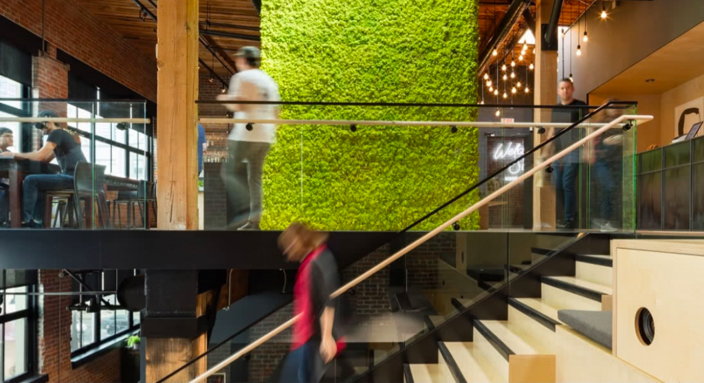 The Interior of the Offices of World-Famous Companies