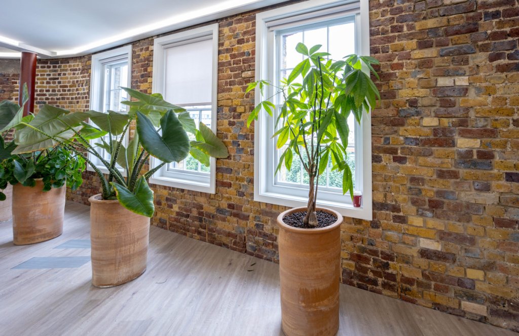 Top 6 Workplace trends in 2023