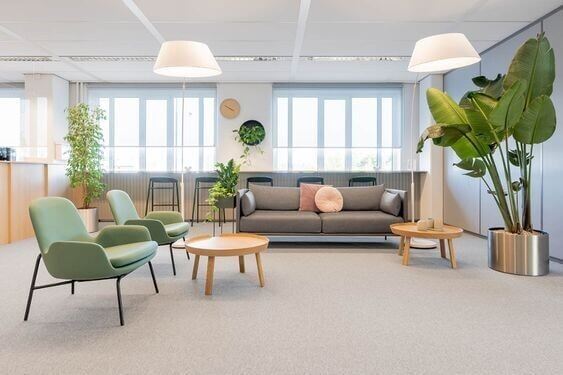 A wellness- centric workspace with biophilic elements and natural light